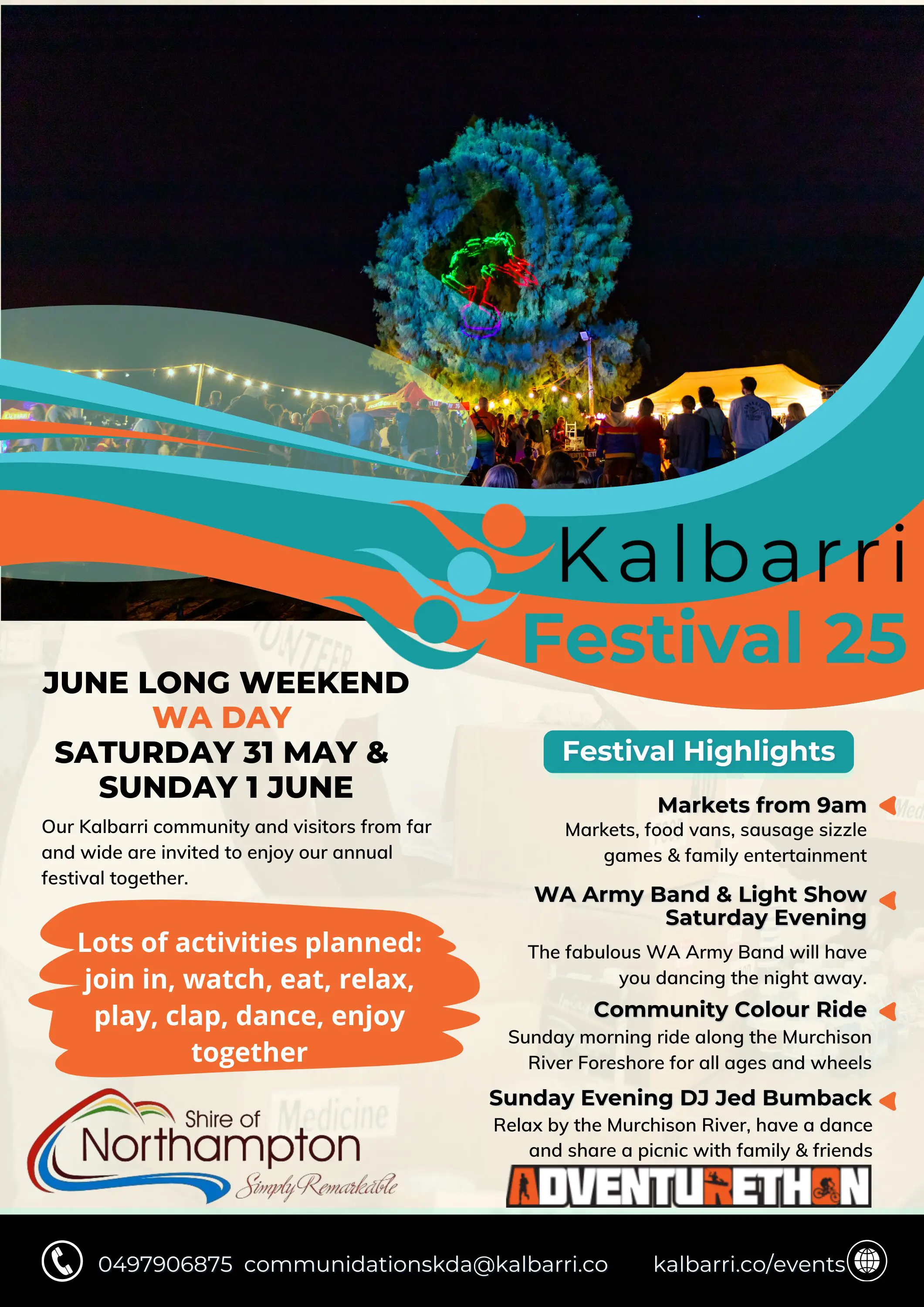 Festival 25 Flyer