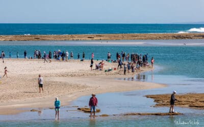 Staying Connected in Kalbarri: The Heartbeat of Our Community